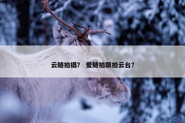 云随拍摄？ 爱随拍跟拍云台？