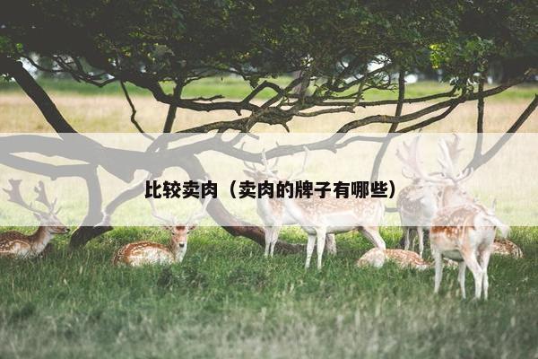 比较卖肉（卖肉的牌子有哪些）