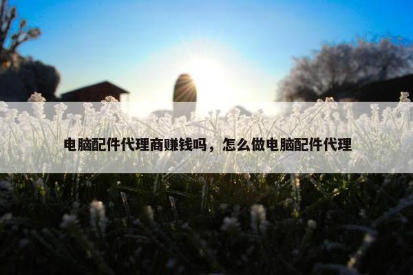 电脑配件代理商赚钱吗，怎么做电脑配件代理