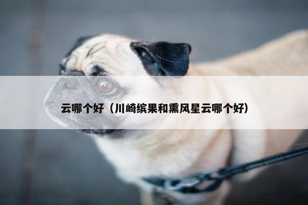 云哪个好（川崎缤果和熏风星云哪个好）