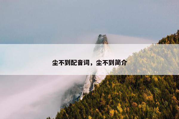 尘不到配音词，尘不到简介