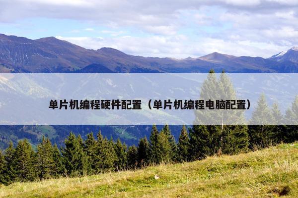 单片机编程硬件配置（单片机编程电脑配置）