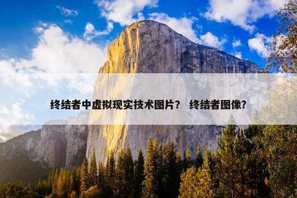 终结者中虚拟现实技术图片？ 终结者图像？