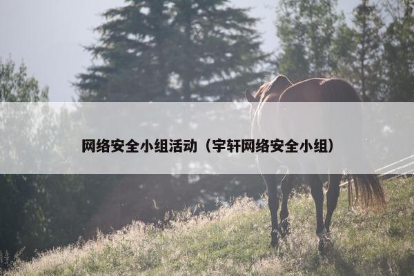 网络安全小组活动（宇轩网络安全小组）