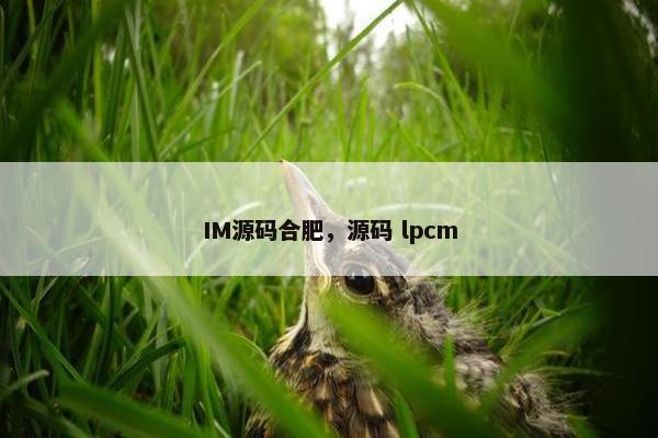 IM源码合肥，源码 lpcm