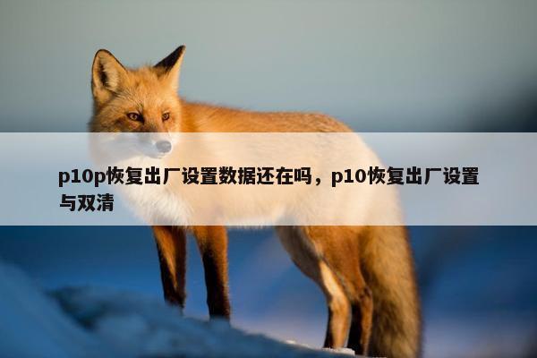 p10p恢复出厂设置数据还在吗，p10恢复出厂设置与双清