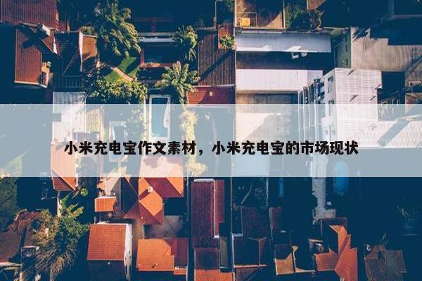 小米充电宝作文素材，小米充电宝的市场现状