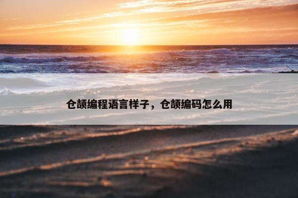 仓颉编程语言样子，仓颉编码怎么用