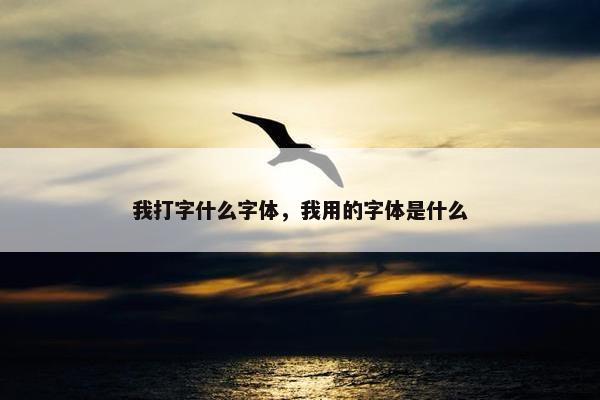 我打字什么字体，我用的字体是什么