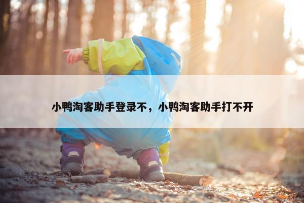 小鸭淘客助手登录不，小鸭淘客助手打不开