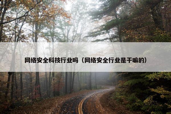 网络安全科技行业吗（网络安全行业是干嘛的）