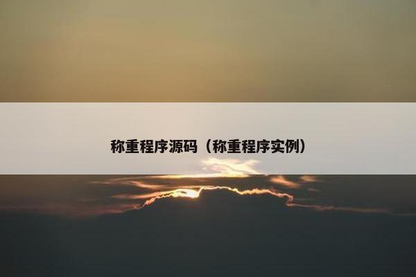 称重程序源码（称重程序实例）