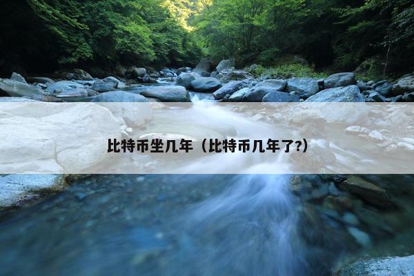 比特币坐几年（比特币几年了?）