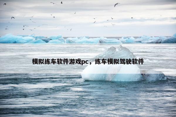 模拟练车软件游戏pc，练车模拟驾驶软件