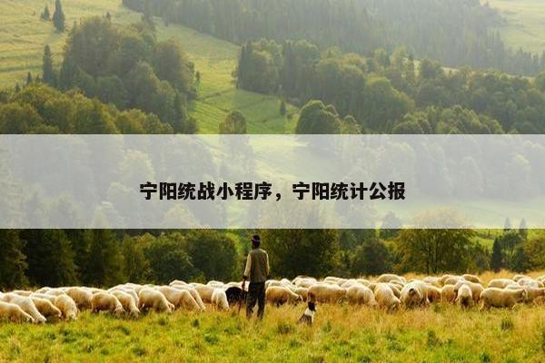 宁阳统战小程序，宁阳统计公报
