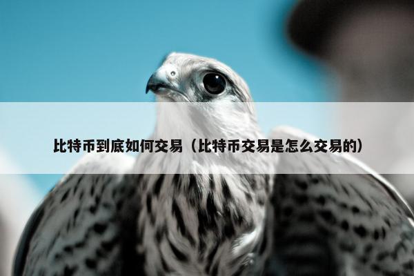 比特币到底如何交易（比特币交易是怎么交易的）