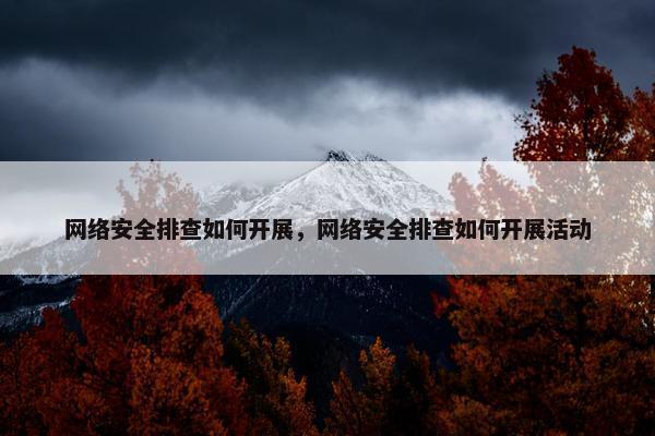 网络安全排查如何开展，网络安全排查如何开展活动
