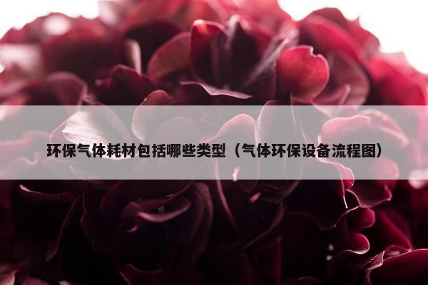 环保气体耗材包括哪些类型（气体环保设备流程图）