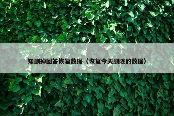 知删掉回答恢复数据（恢复今天删除的数据）