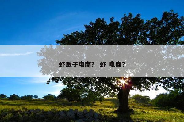 虾贩子电商？ 虾 电商？