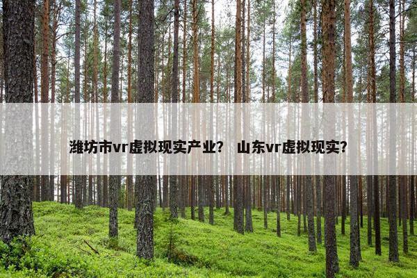 潍坊市vr虚拟现实产业？ 山东vr虚拟现实？