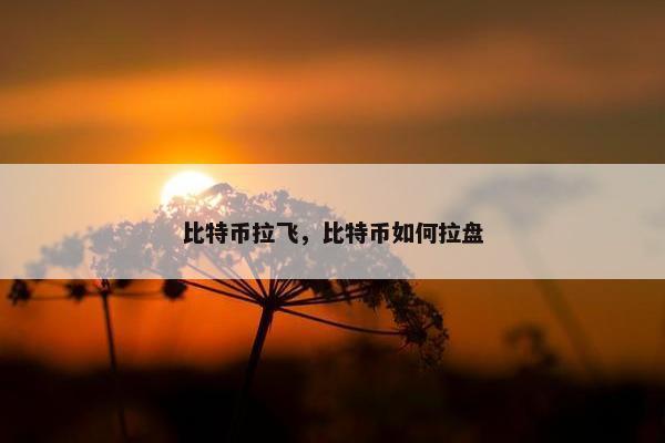比特币拉飞，比特币如何拉盘