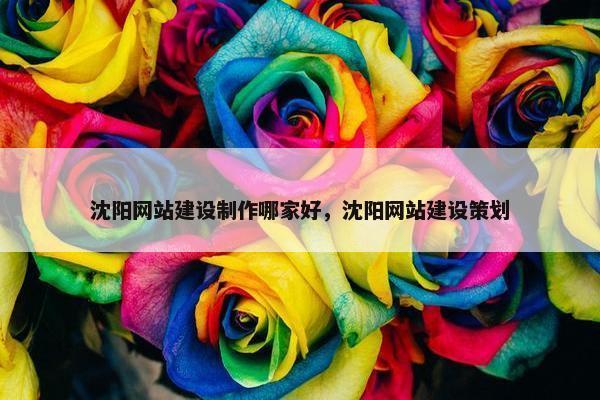 沈阳网站建设制作哪家好，沈阳网站建设策划