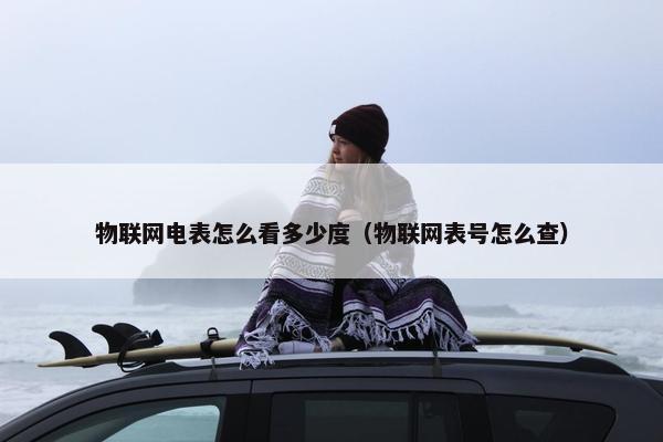 物联网电表怎么看多少度（物联网表号怎么查）