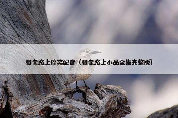 相亲路上搞笑配音（相亲路上小品全集完整版）