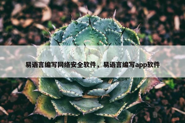 易语言编写网络安全软件，易语言编写app软件