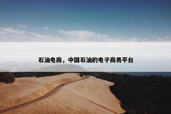 石油电商，中国石油的电子商务平台