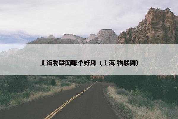 上海物联网哪个好用（上海 物联网）