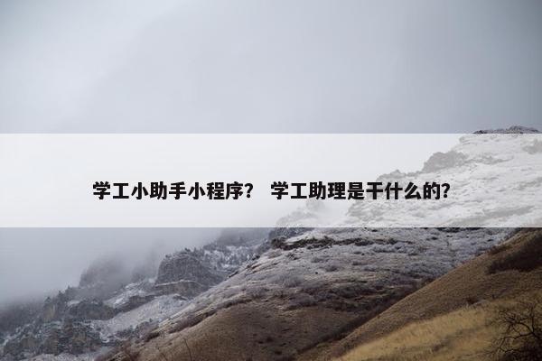 学工小助手小程序？ 学工助理是干什么的？