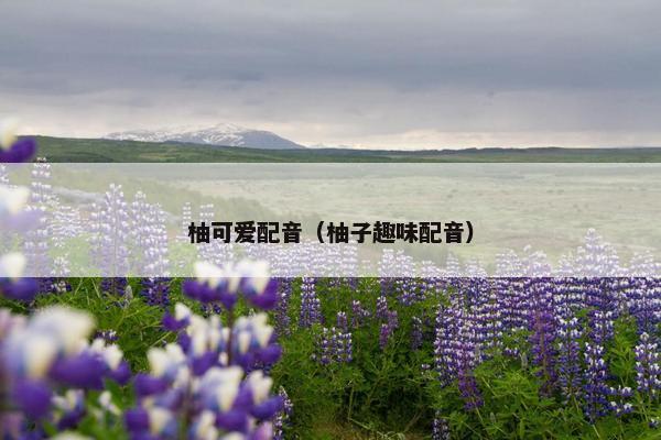 柚可爱配音（柚子趣味配音）