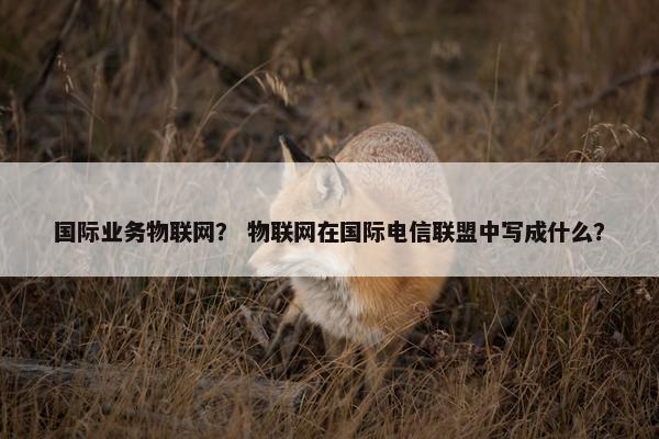 国际业务物联网？ 物联网在国际电信联盟中写成什么？