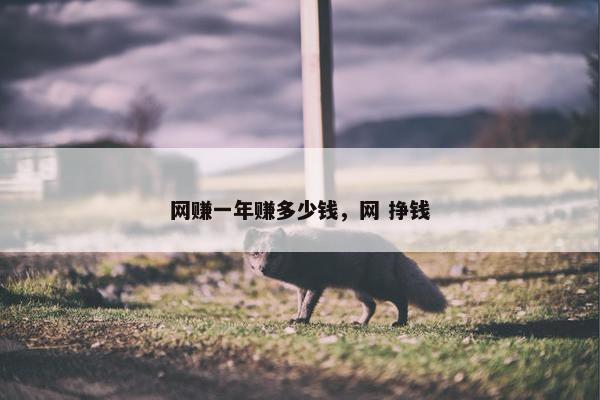 网赚一年赚多少钱，网 挣钱