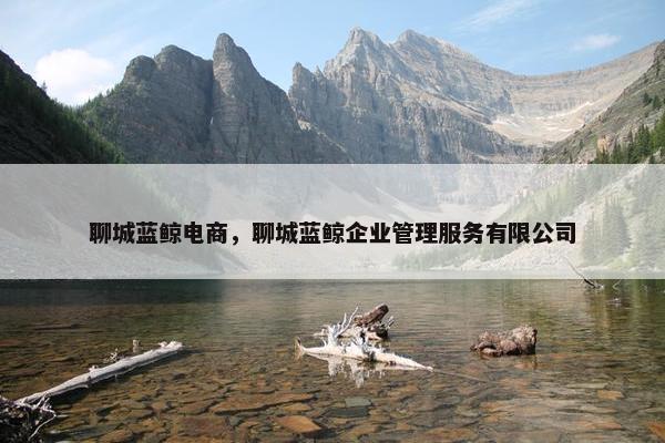 聊城蓝鲸电商，聊城蓝鲸企业管理服务有限公司