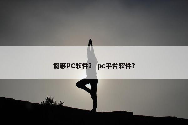 能够PC软件？ pc平台软件？