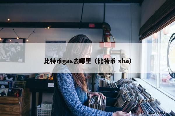 比特币gas去哪里（比特币 sha）