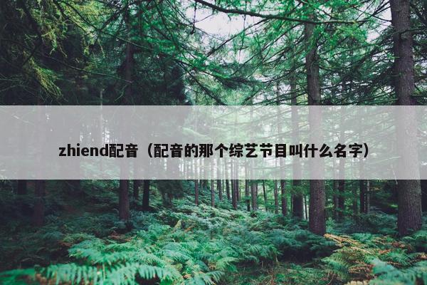 zhiend配音（配音的那个综艺节目叫什么名字）