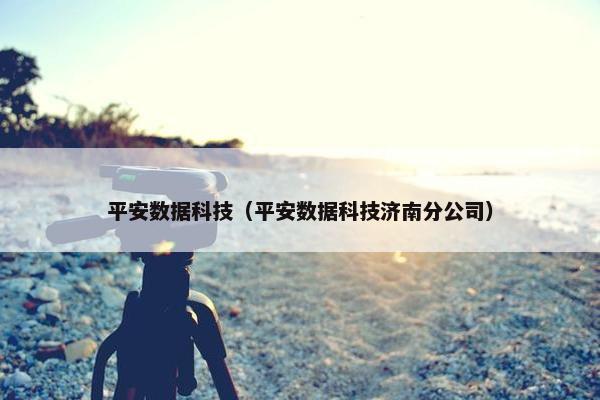 平安数据科技（平安数据科技济南分公司）