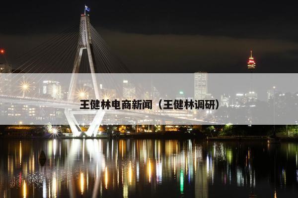 王健林电商新闻（王健林调研）