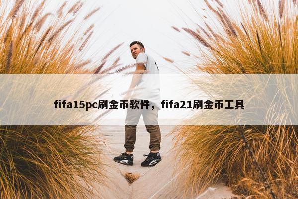 fifa15pc刷金币软件，fifa21刷金币工具