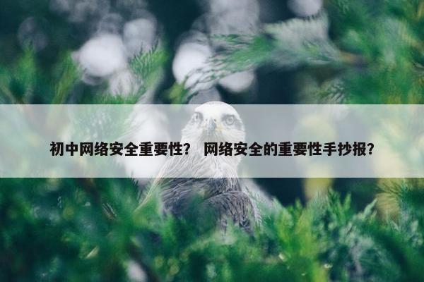 初中网络安全重要性？ 网络安全的重要性手抄报？