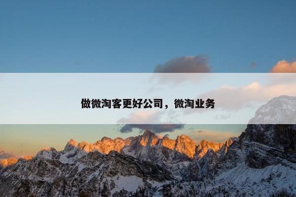 做微淘客更好公司，微淘业务