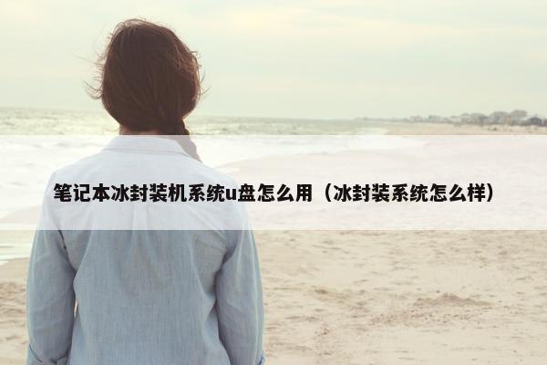 笔记本冰封装机系统u盘怎么用（冰封装系统怎么样）