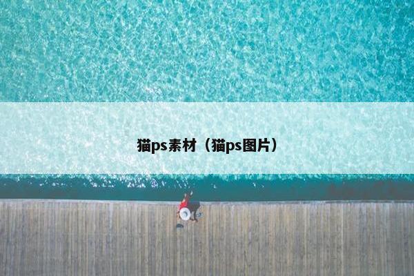 猫ps素材（猫ps图片）