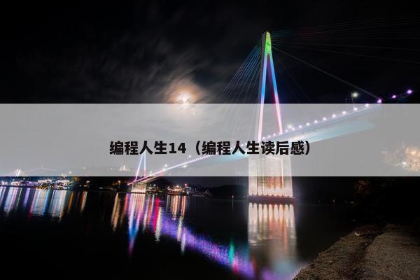 编程人生14（编程人生读后感）