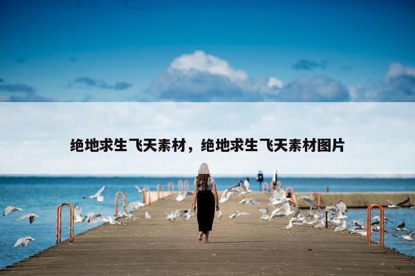 绝地求生飞天素材，绝地求生飞天素材图片