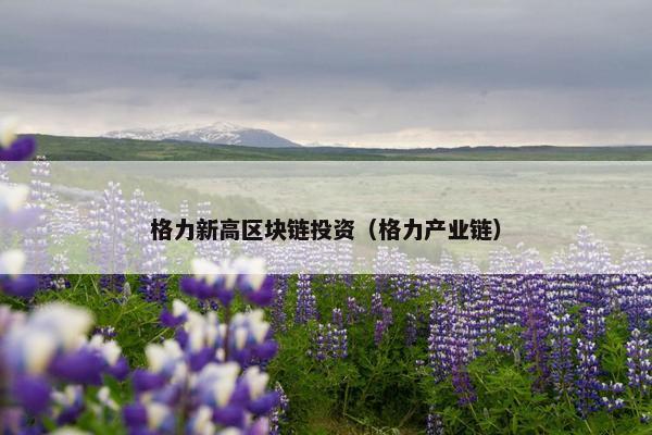 格力新高区块链投资（格力产业链）